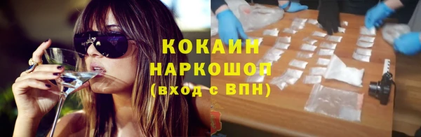 Альфа ПВП Няндома