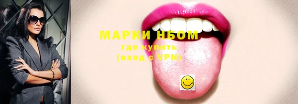 Альфа ПВП Няндома