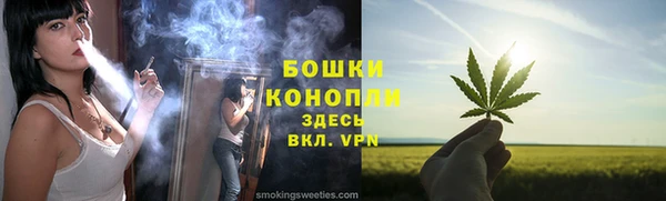 Альфа ПВП Няндома