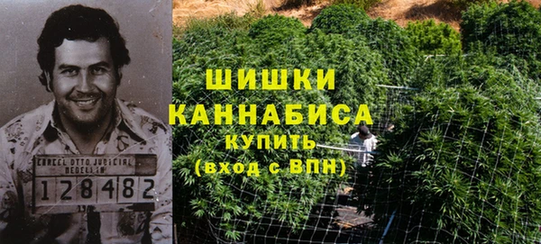 Альфа ПВП Няндома