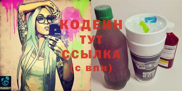 Альфа ПВП Няндома
