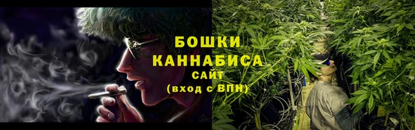 Альфа ПВП Няндома