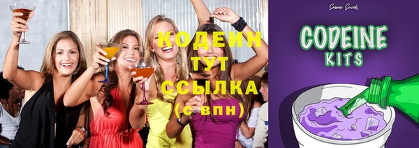 Альфа ПВП Няндома